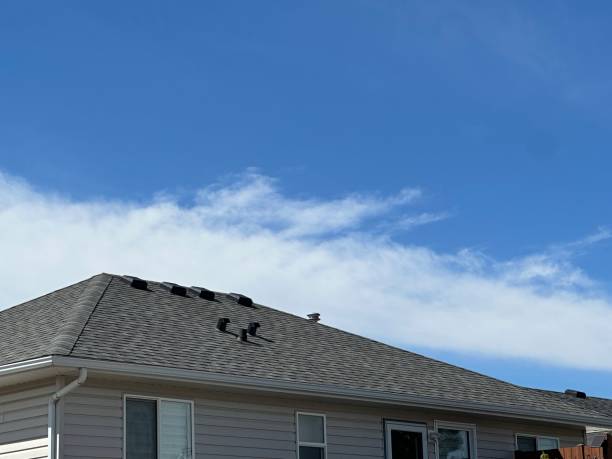 Best Cold Roofs  in New Oxford, PA